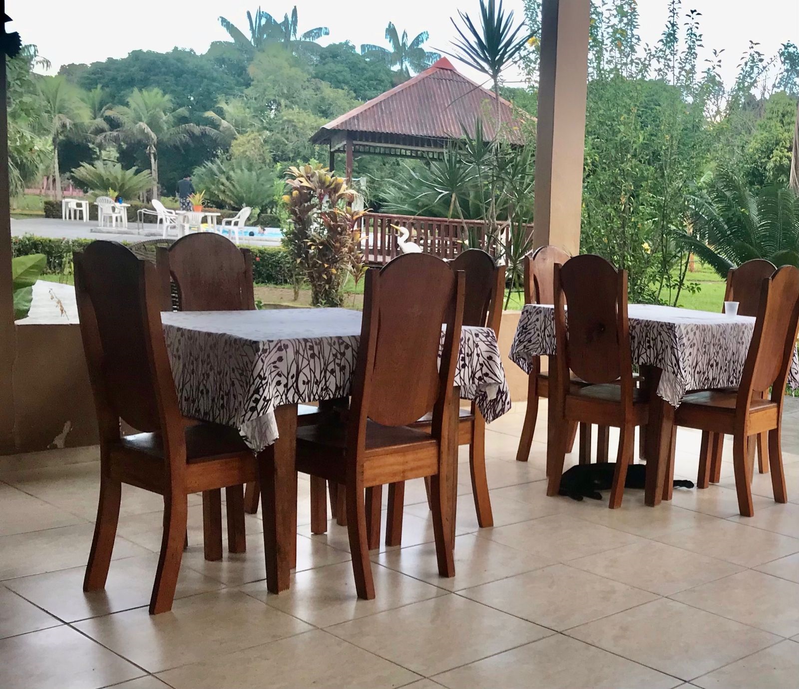 jungle spa e hotel