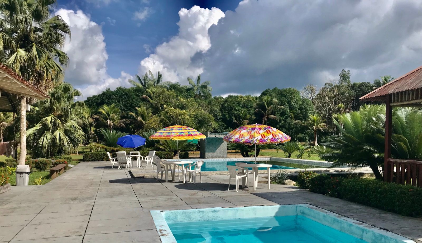 jungle spa e hotel