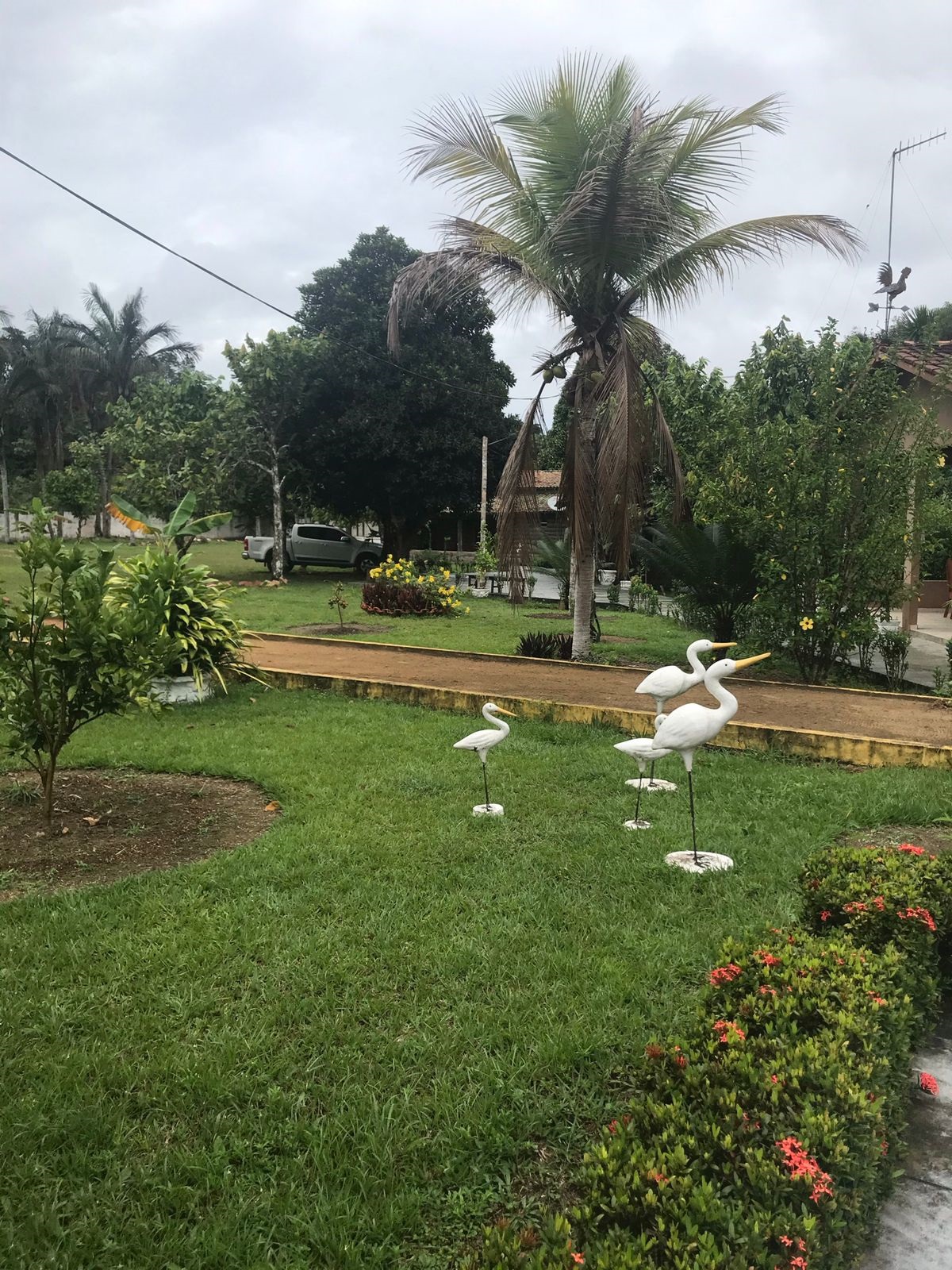 jungle spa e hotel