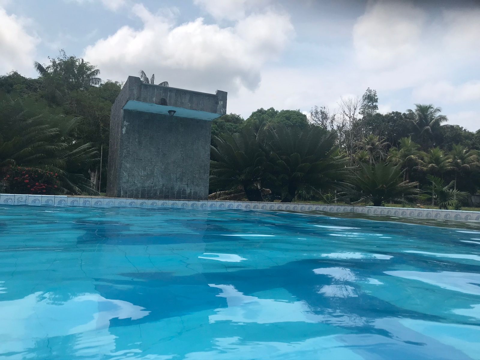 jungle spa e hotel