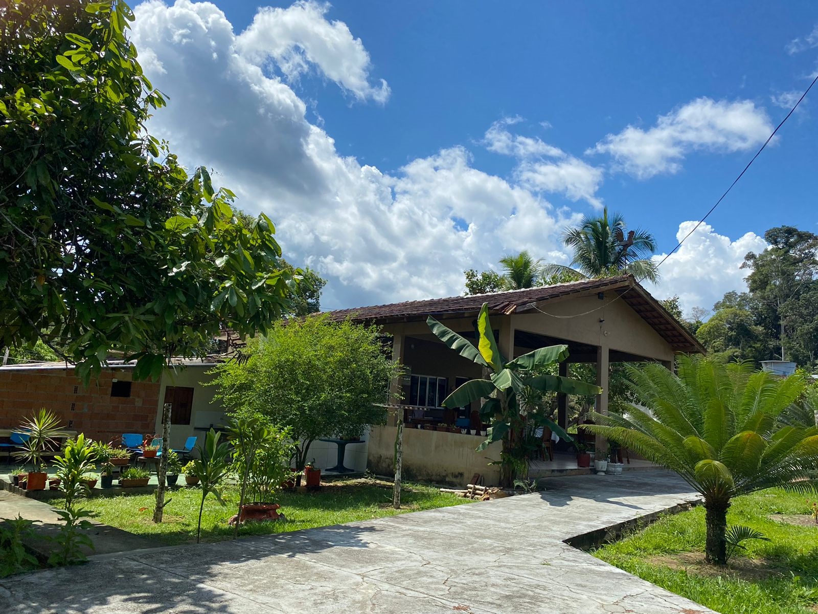 jungle spa e hotel